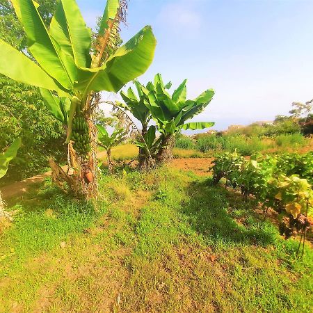 Casa En Finca Ecologica - Wifi La Orotava Εξωτερικό φωτογραφία