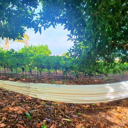Casa En Finca Ecologica - Wifi La Orotava Εξωτερικό φωτογραφία