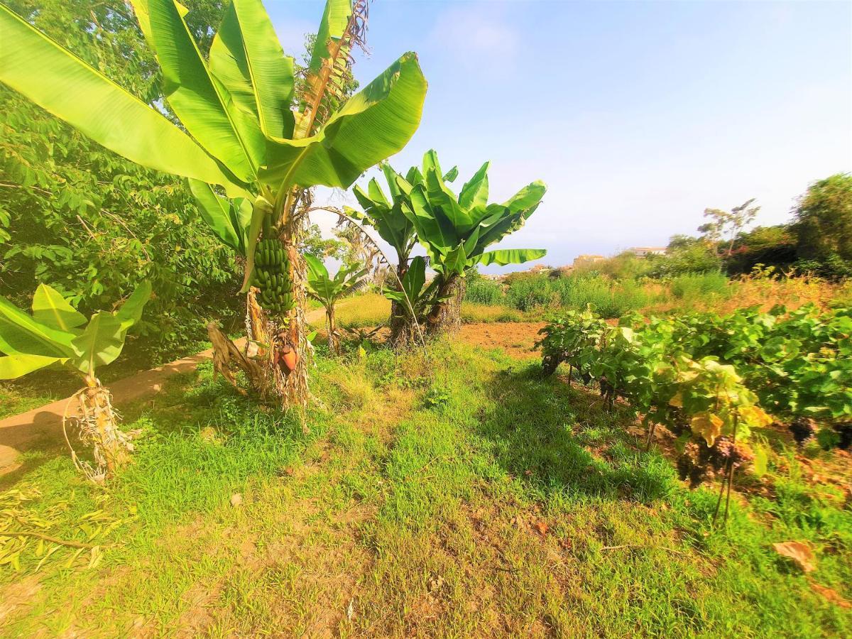 Casa En Finca Ecologica - Wifi La Orotava Εξωτερικό φωτογραφία