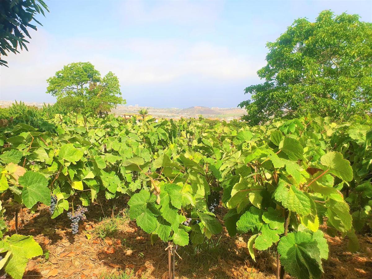 Casa En Finca Ecologica - Wifi La Orotava Εξωτερικό φωτογραφία