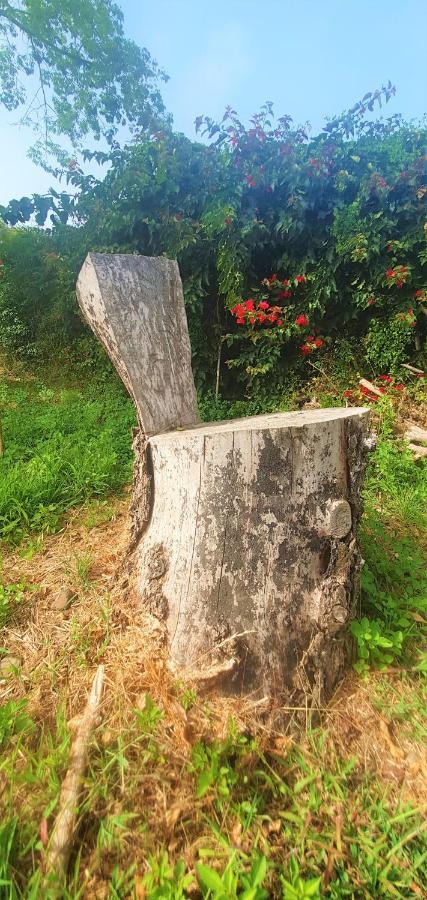 Casa En Finca Ecologica - Wifi La Orotava Εξωτερικό φωτογραφία