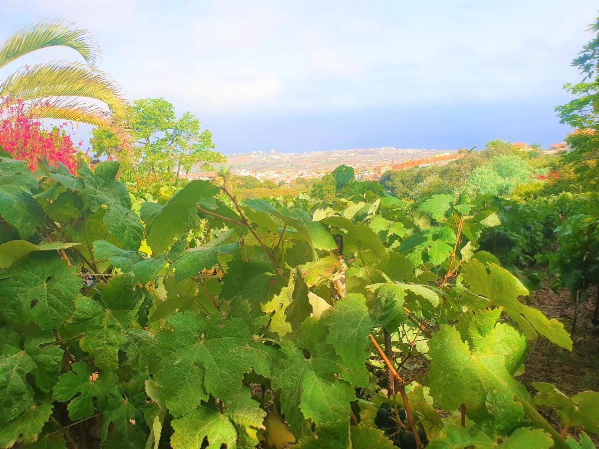 Casa En Finca Ecologica - Wifi La Orotava Εξωτερικό φωτογραφία