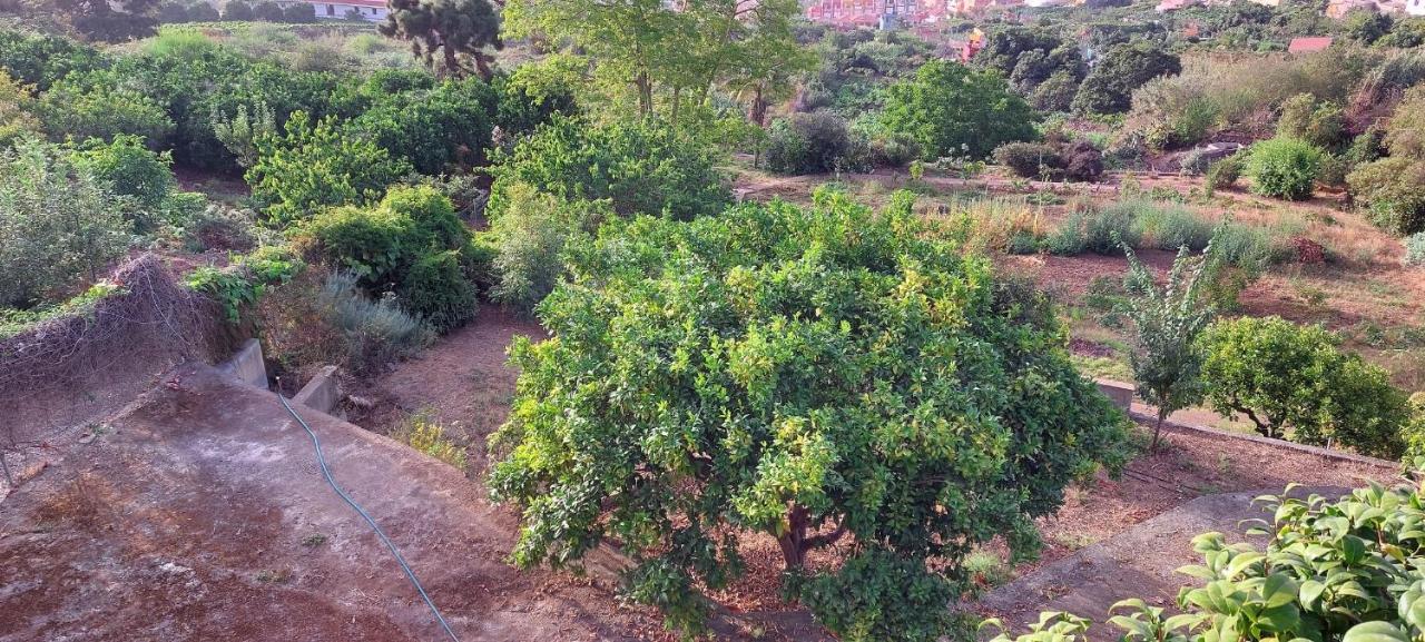Casa En Finca Ecologica - Wifi La Orotava Εξωτερικό φωτογραφία