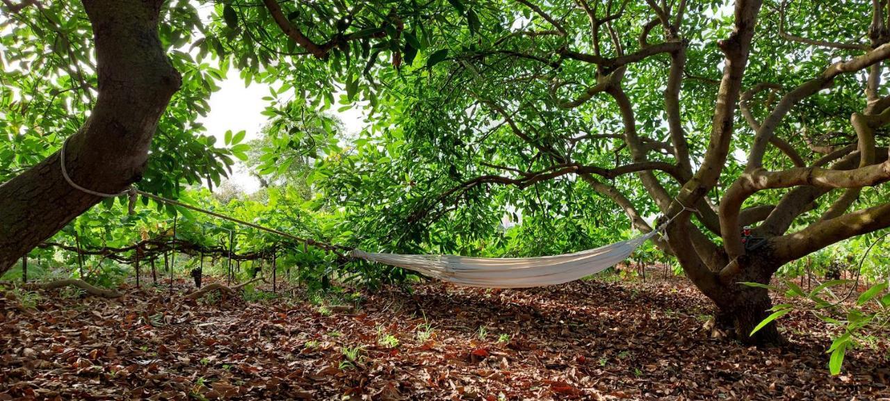 Casa En Finca Ecologica - Wifi La Orotava Εξωτερικό φωτογραφία